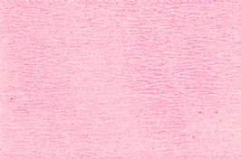 p^[R[g1